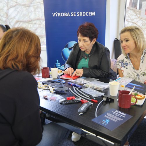 Burza práce pro osoby se zdravotním postižením