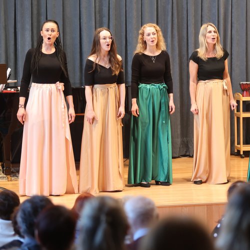 Jarní ladění s Generací potěšilo zaplněný sál ZUŠ