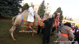 IMG99091