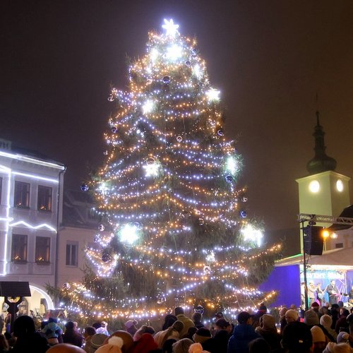 Město hledá vánoční strom na Mírové náměstí